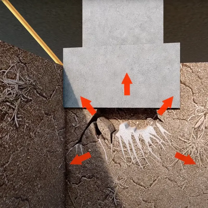 Close-up of stump with GeoPoly resin expanding beneath to re-level floors