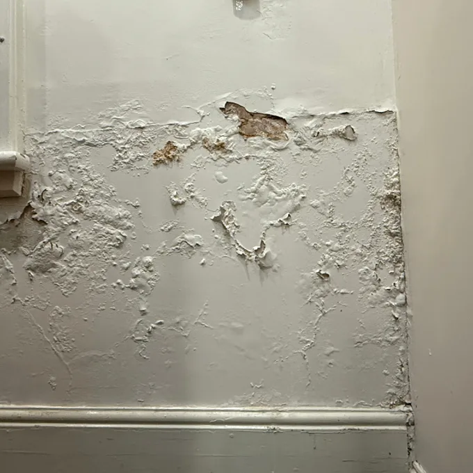 Interior wall above skirting board with severe paint bubbling, blistering, and peeling with exposed substrate showing through