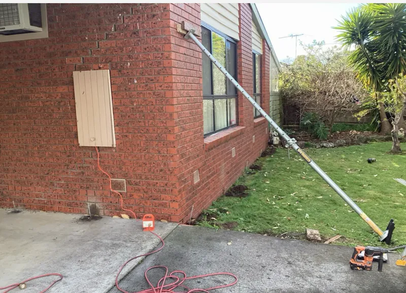 Hidden Tree Roots Behind Foundation Damage