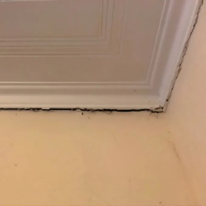 Interior wall pulling away from door frame with visible gap